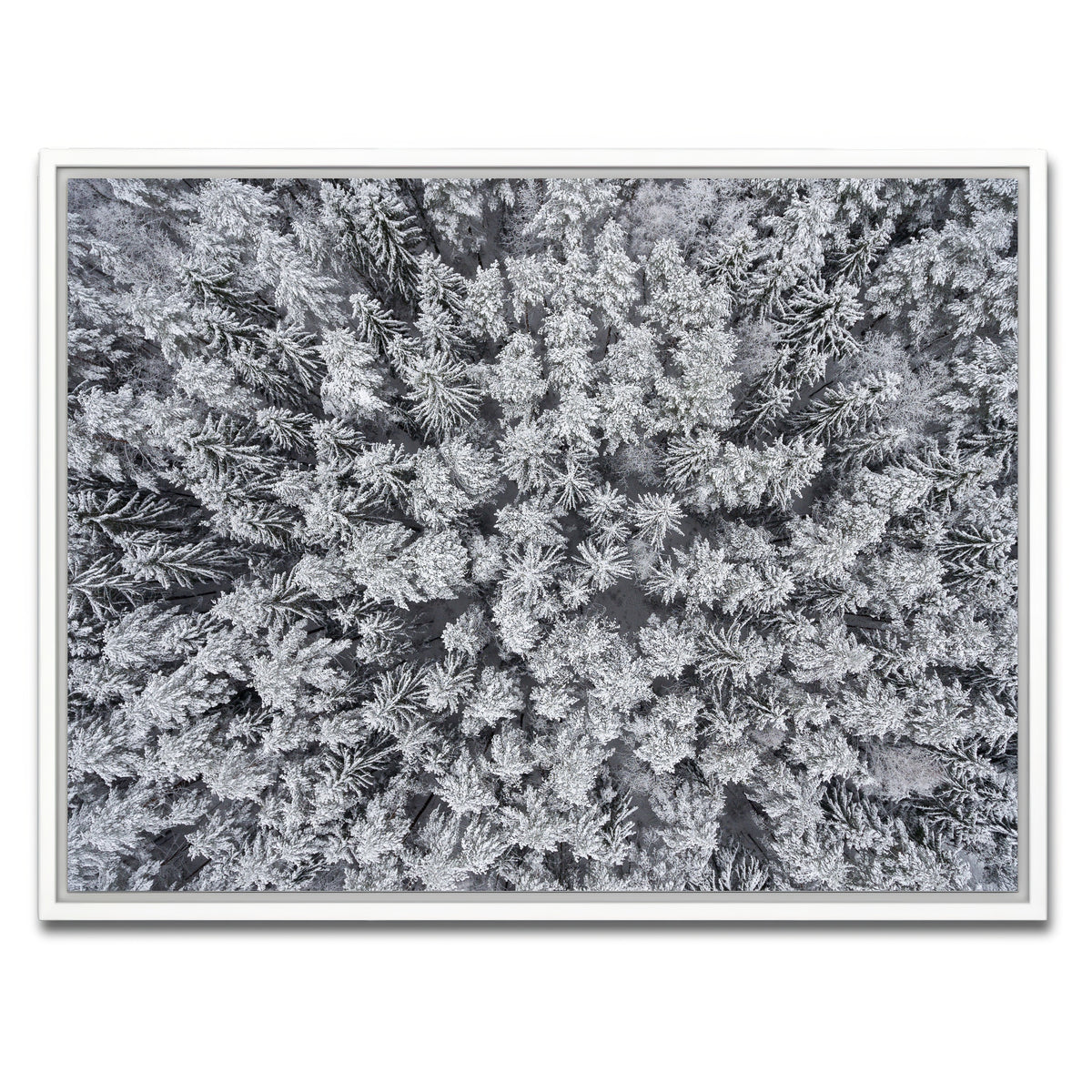 AUTO-MOCKUP WHITE | Frosted Tips | 1 Piece | White Framed Canvas | group=4x3