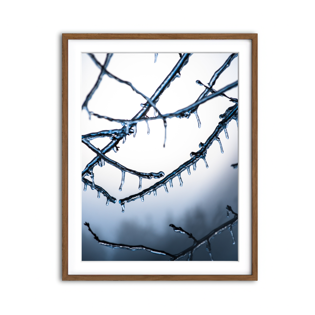 Framed Print 3x4 Walnut