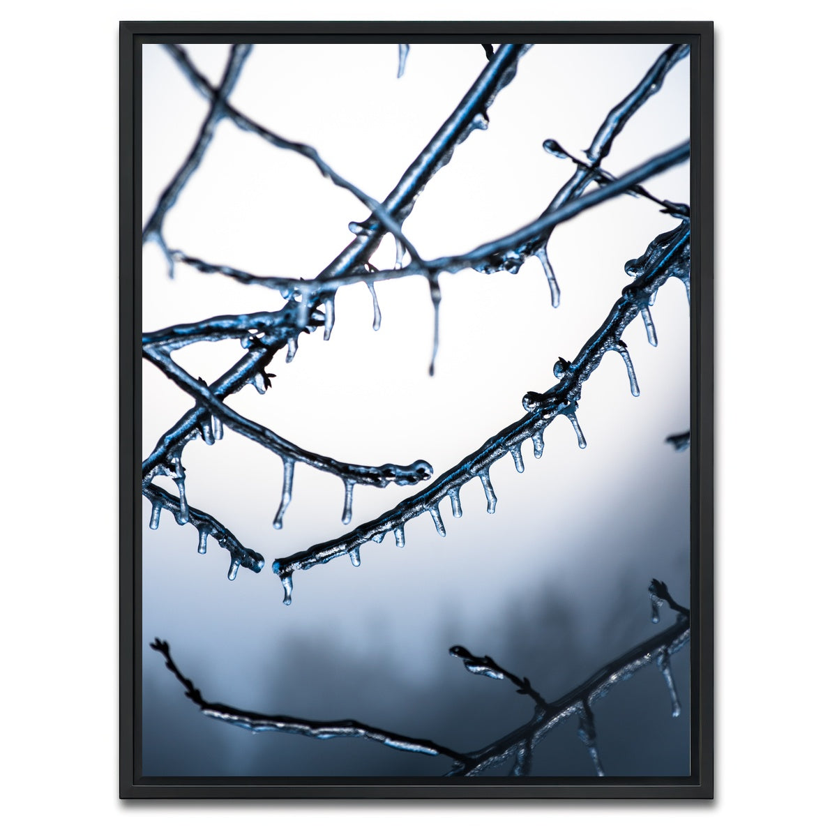 AUTO-MOCKUP WHITE | Frozen Virginia | 1 Piece | Black Framed Canvas | group=3x4