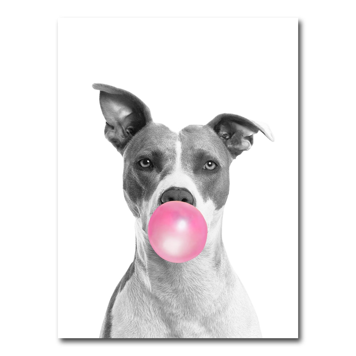 AUTO-MOCKUP WHITE | Funny Dog | 1 Piece | Gallery Wrap Canvas | group=3x4