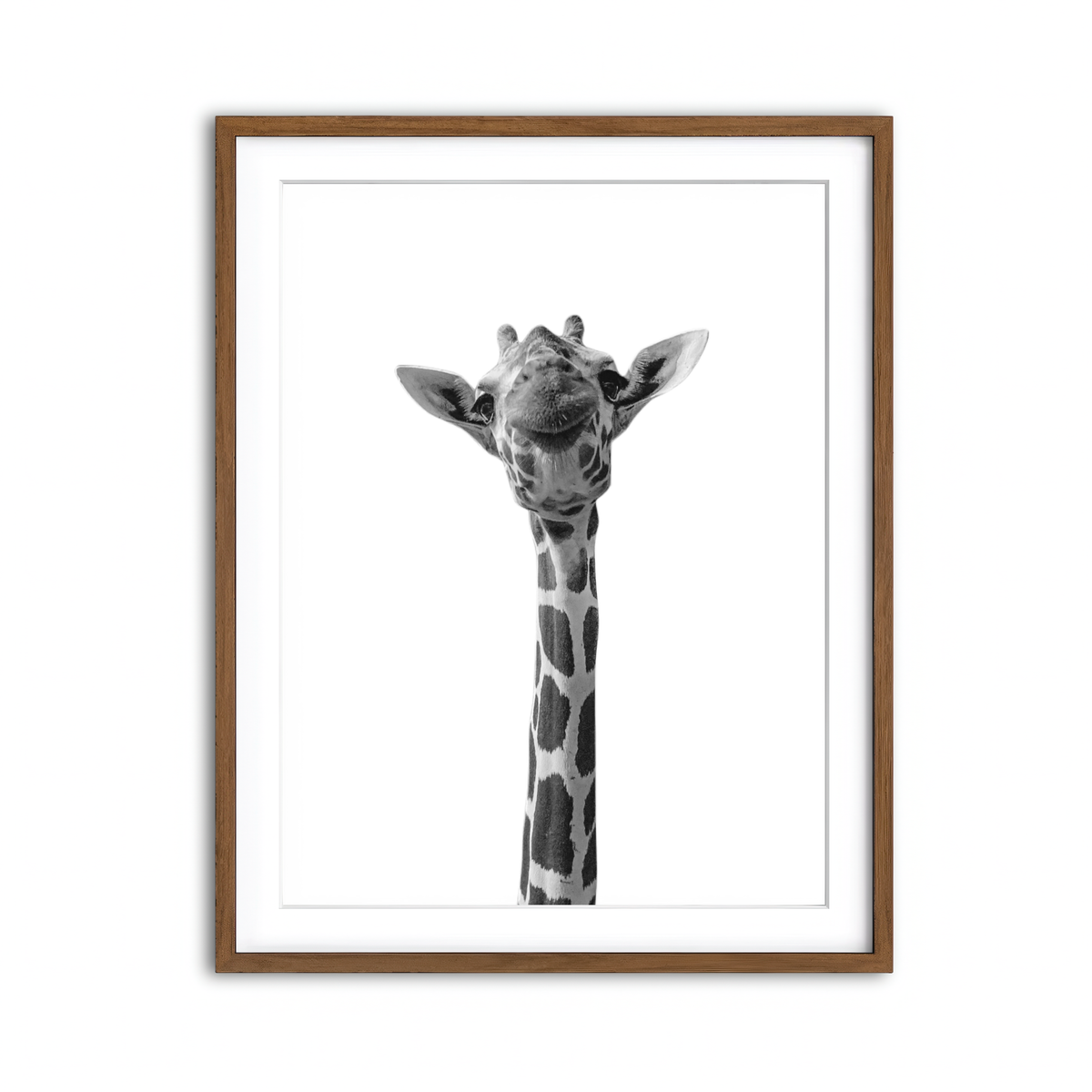 Framed Print 3x4 Walnut