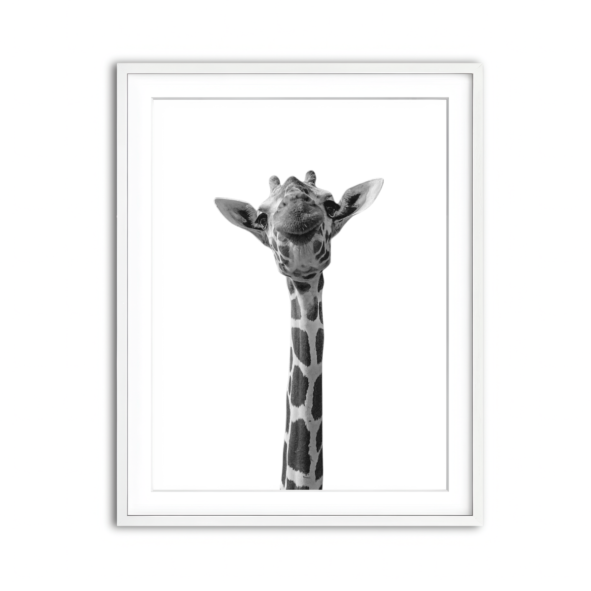 Framed Print 3x4 White