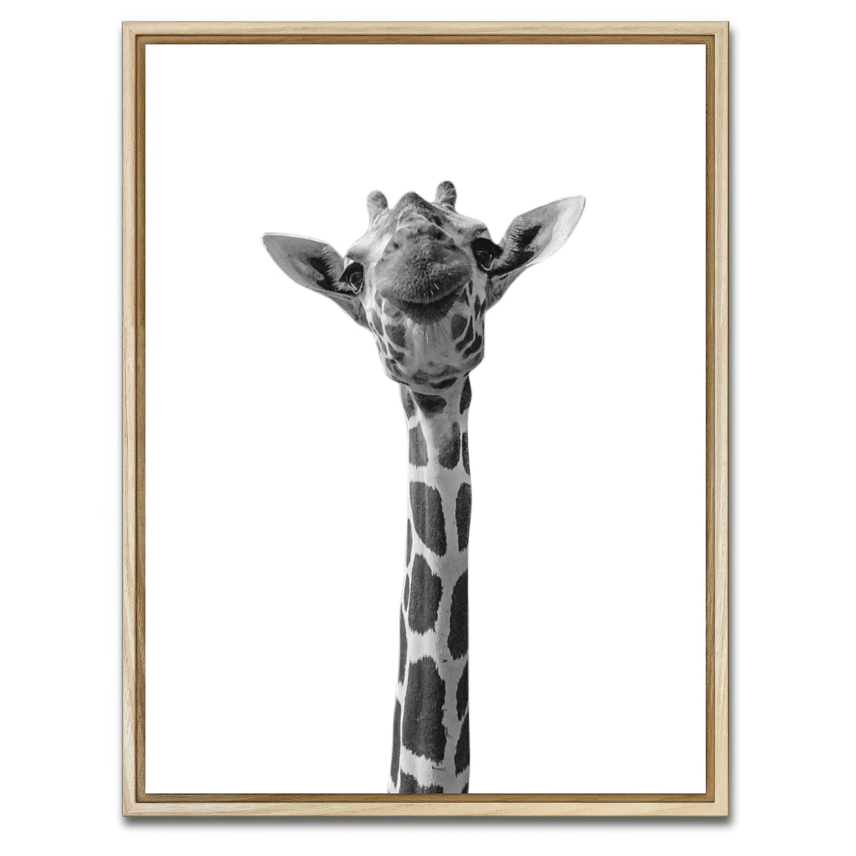 AUTO-MOCKUP WHITE | Funny Giraffe | 1 Piece | Natural Framed Canvas | group=3x4