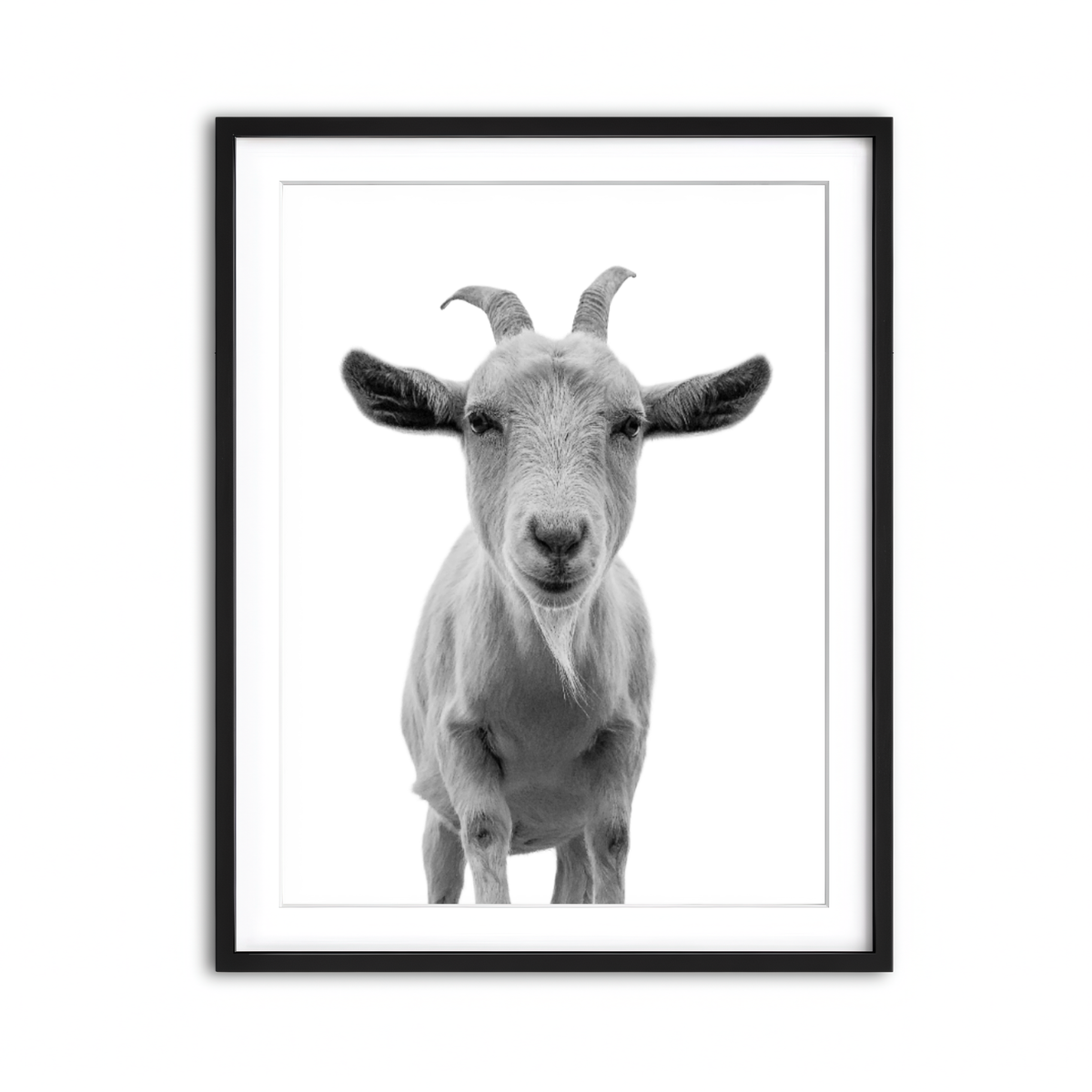 Framed Print 3x4 Black