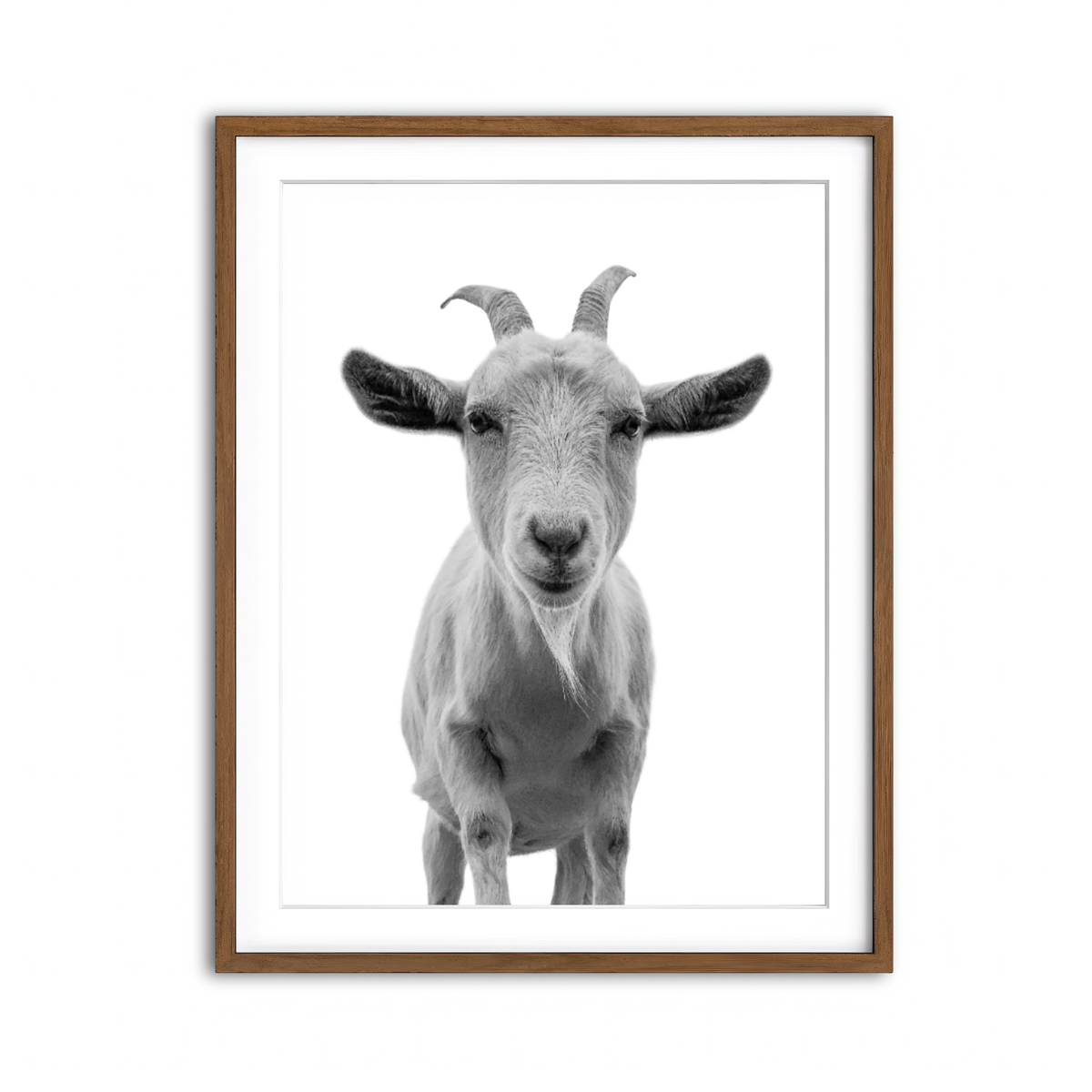 Framed Print 3x4 Walnut