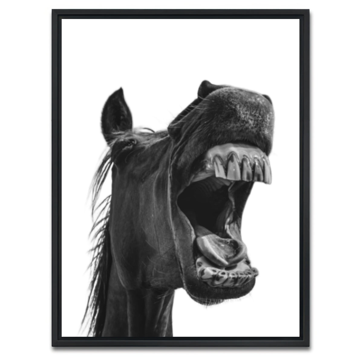 AUTO-MOCKUP WHITE | Funny Horse | 1 Piece | Black Framed Canvas | group=3x4