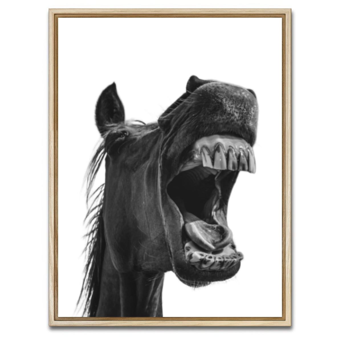 AUTO-MOCKUP WHITE | Funny Horse | 1 Piece | Natural Framed Canvas | group=3x4