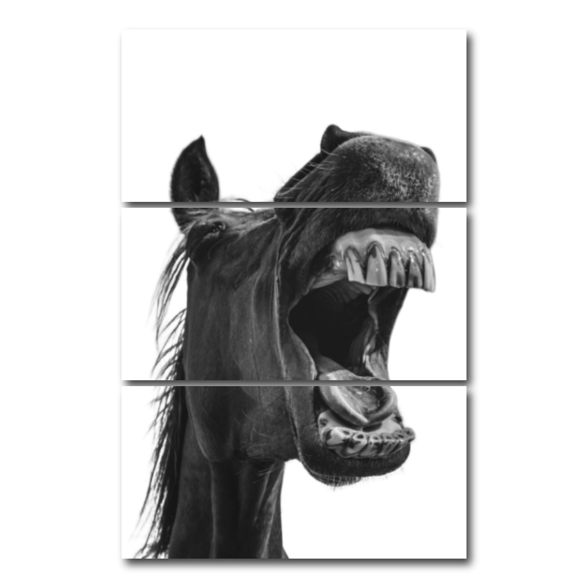 AUTO-MOCKUP WHITE | Funny Horse | 3 Piece | Gallery Wrap Canvas | group=12x24_stacked