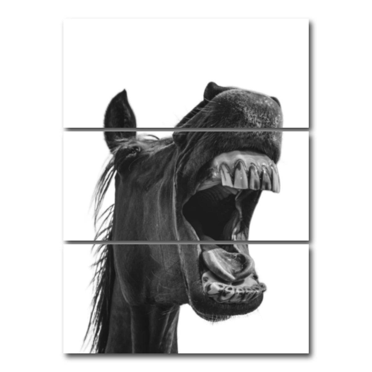 AUTO-MOCKUP WHITE | Funny Horse | 3 Piece | Gallery Wrap Canvas | group=8x18_stacked