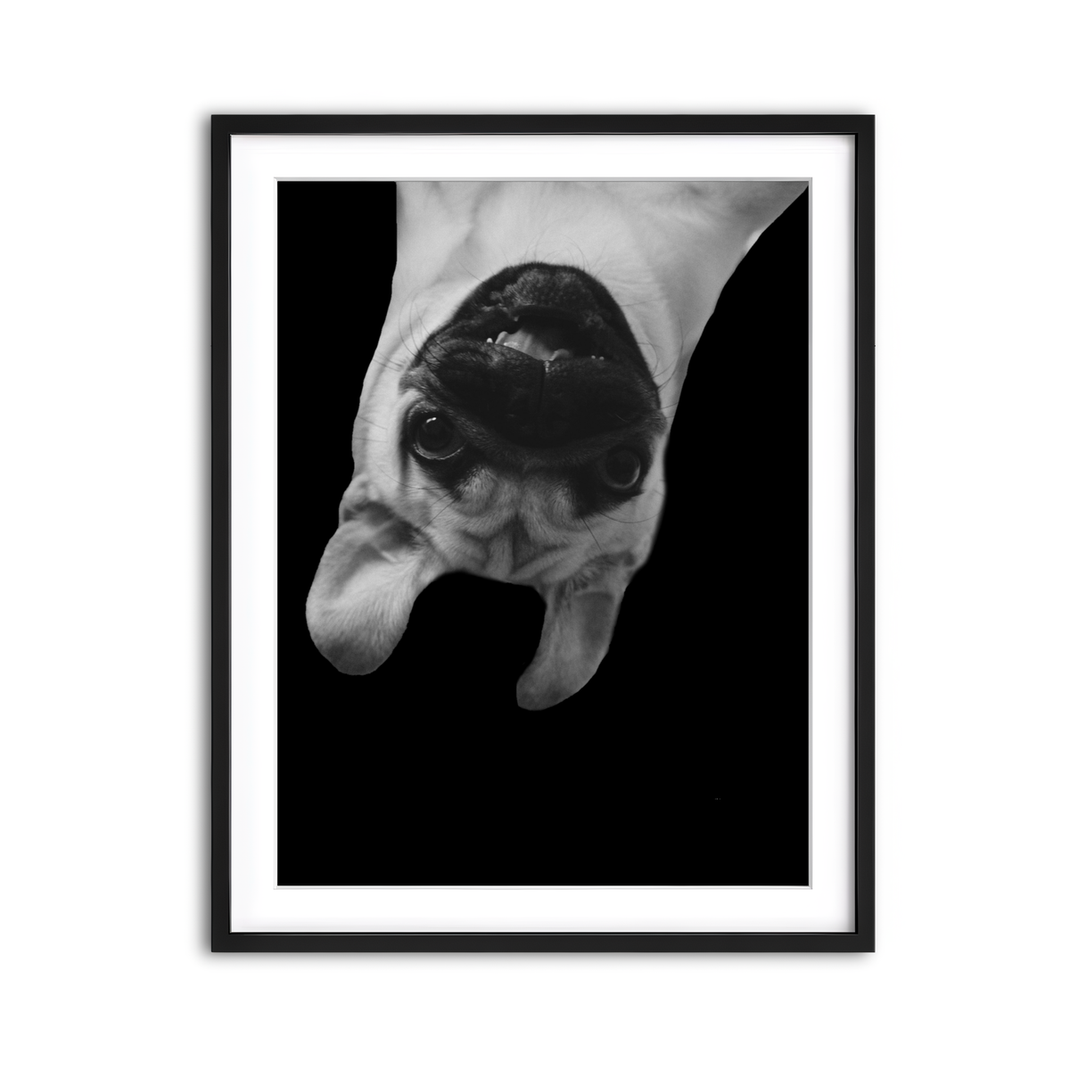 Framed Print 3x4 Black