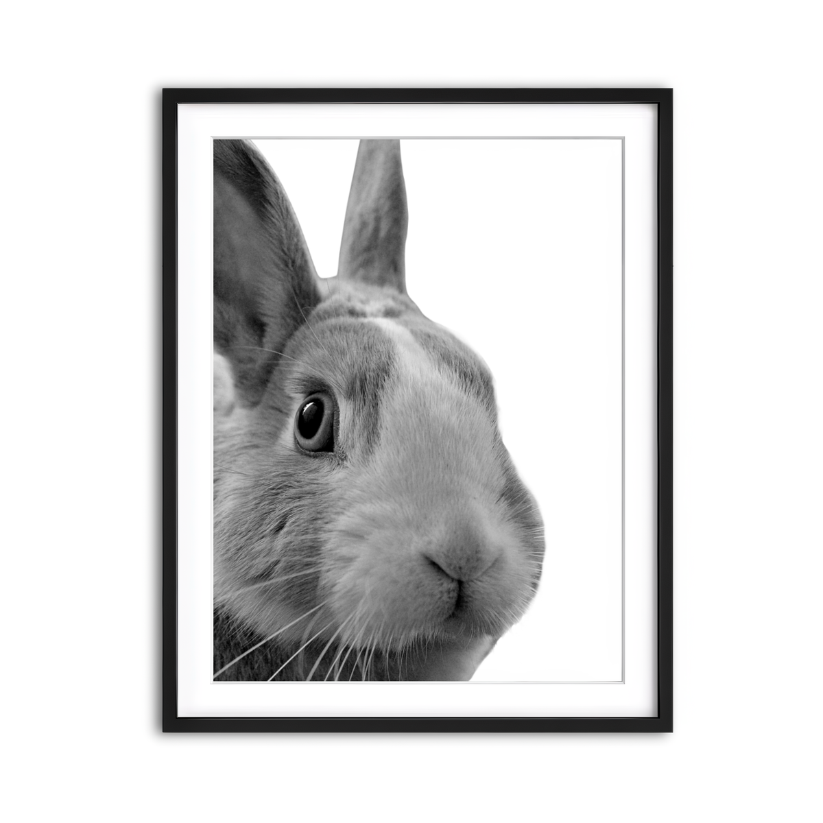 Framed Print 3x4 Black