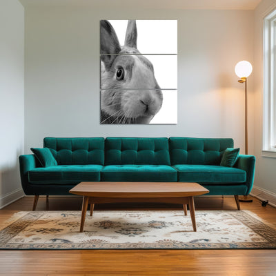 AUTO-MOCKUP ROOM | Funny Rabbit