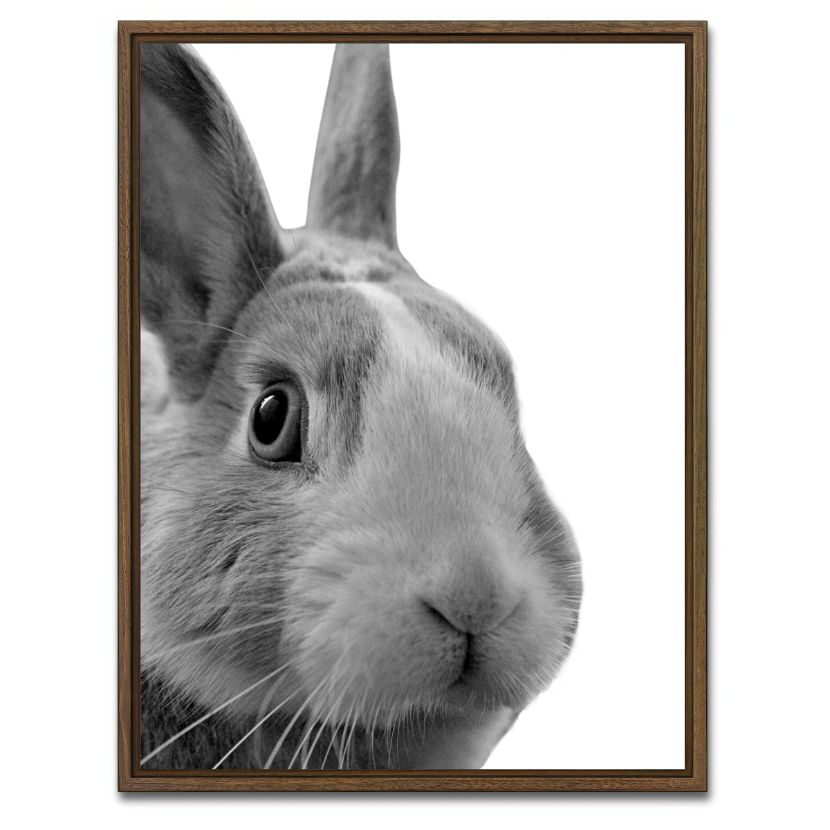AUTO-MOCKUP WHITE | Funny Rabbit | 1 Piece | Walnut Framed Canvas | group=3x4