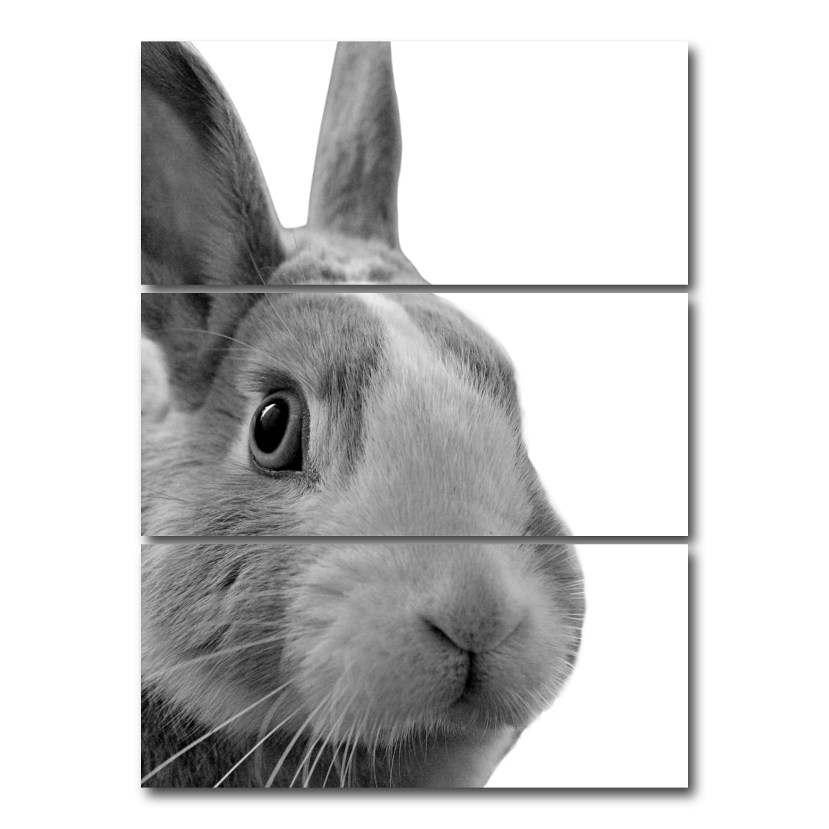 AUTO-MOCKUP WHITE | Funny Rabbit | 3 Piece | Gallery Wrap Canvas | group=8x18_stacked
