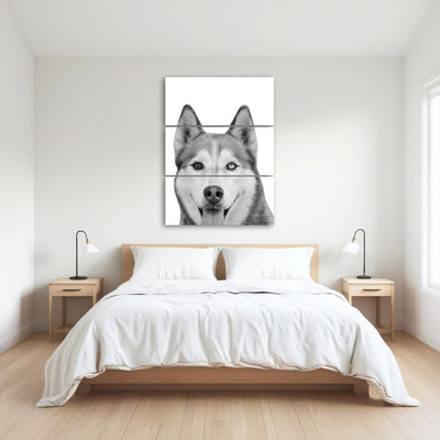 AUTO-MOCKUP ROOM | Funny Siberian Husky