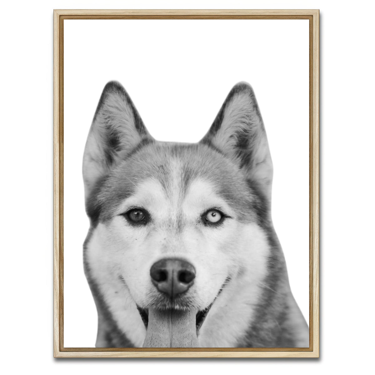 AUTO-MOCKUP WHITE | Funny Siberian Husky | 1 Piece | Natural Framed Canvas | group=3x4