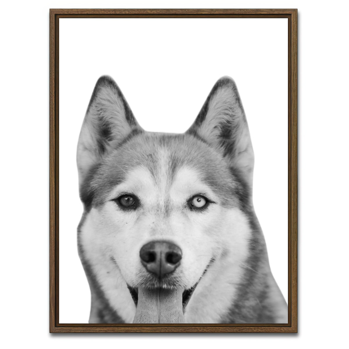 AUTO-MOCKUP WHITE | Funny Siberian Husky | 1 Piece | Walnut Framed Canvas | group=3x4