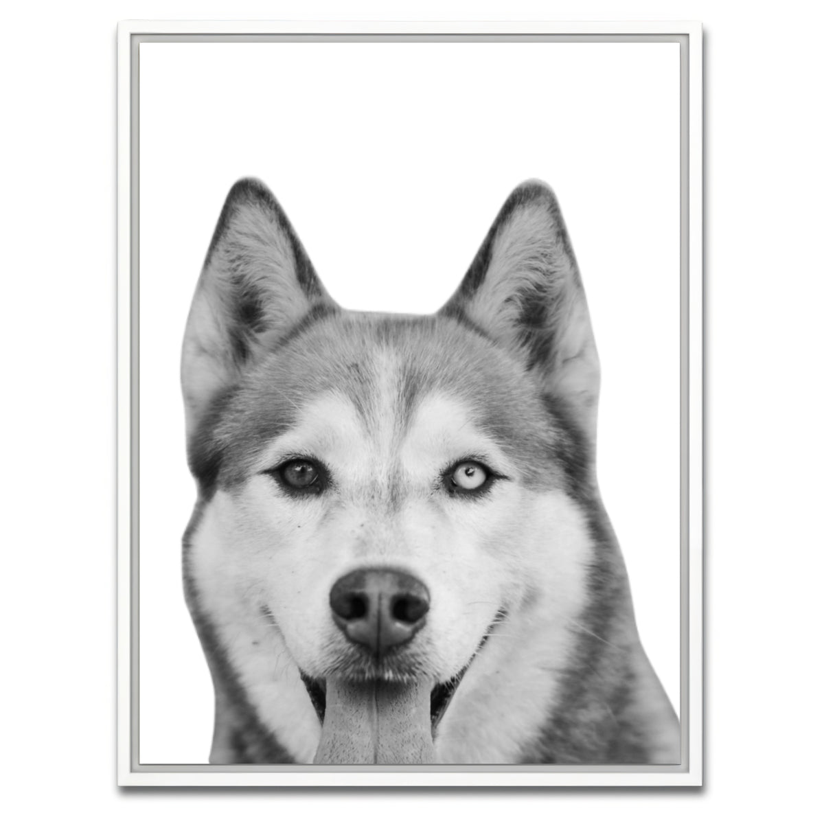 AUTO-MOCKUP WHITE | Funny Siberian Husky | 1 Piece | White Framed Canvas | group=3x4