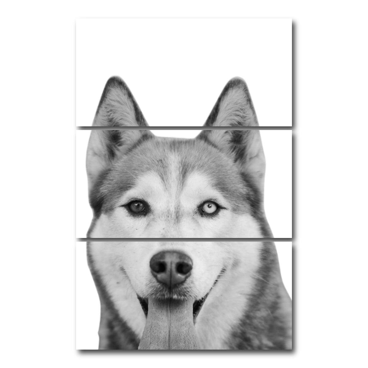 AUTO-MOCKUP WHITE | Funny Siberian Husky | 3 Piece | Gallery Wrap Canvas | group=12x24_stacked