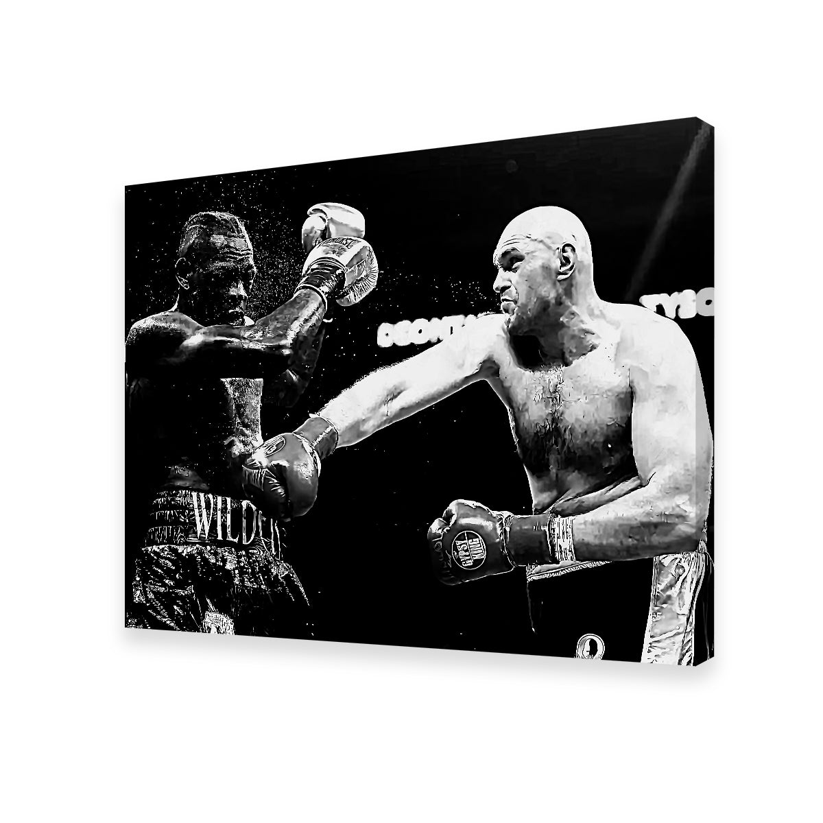 Fury Vs. Wilder Grayscale Wall Art