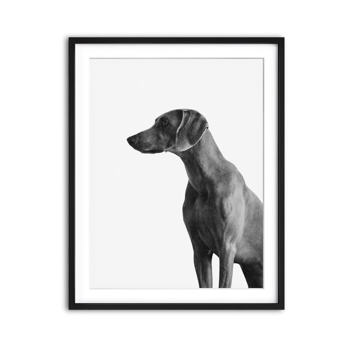 Framed Print 3x4 Black