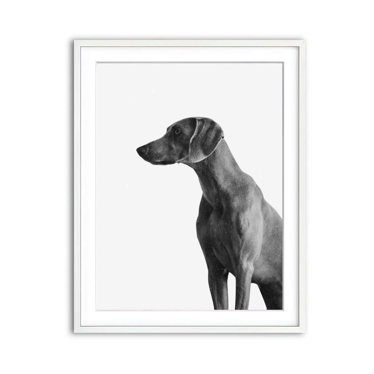 Framed Print 3x4 White