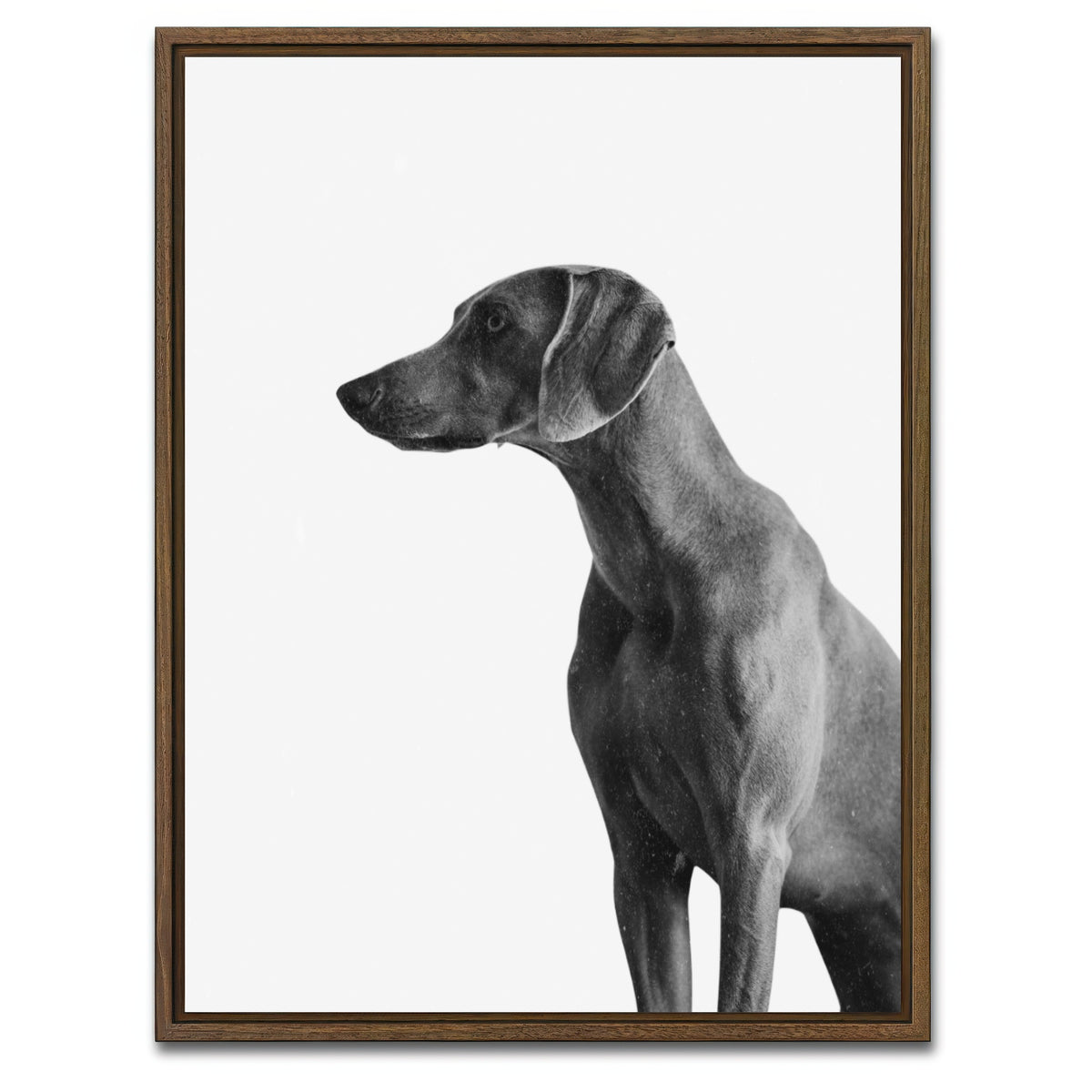 AUTO-MOCKUP WHITE | Gazing Dog | 1 Piece | Walnut Framed Canvas | group=3x4
