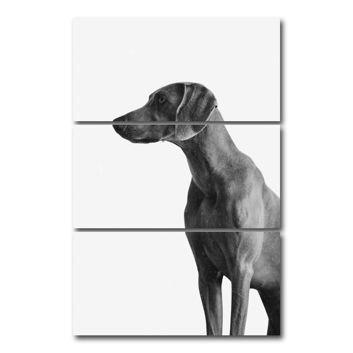 AUTO-MOCKUP WHITE | Gazing Dog | 3 Piece | Gallery Wrap Canvas | group=12x24_stacked