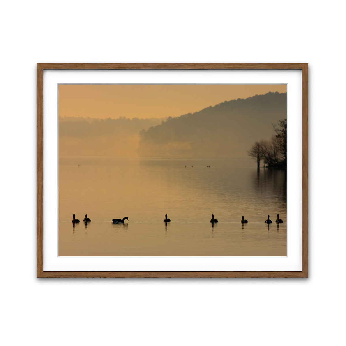 Framed Print 4x3 Walnut