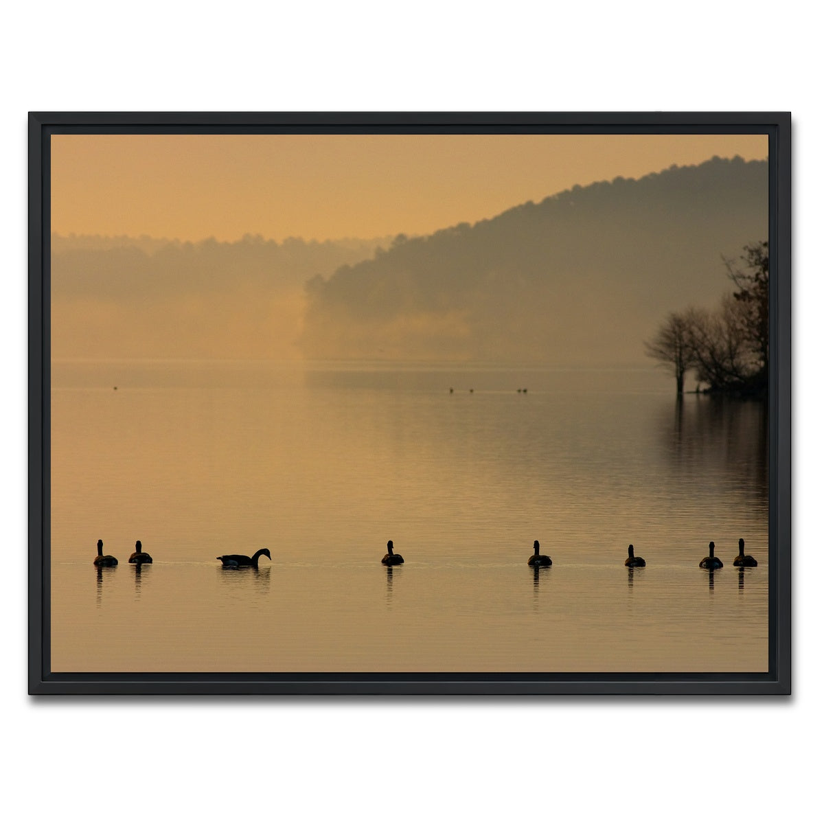 AUTO-MOCKUP WHITE | Geese on Lake Degray | 1 Piece | Black Framed Canvas | group=4x3