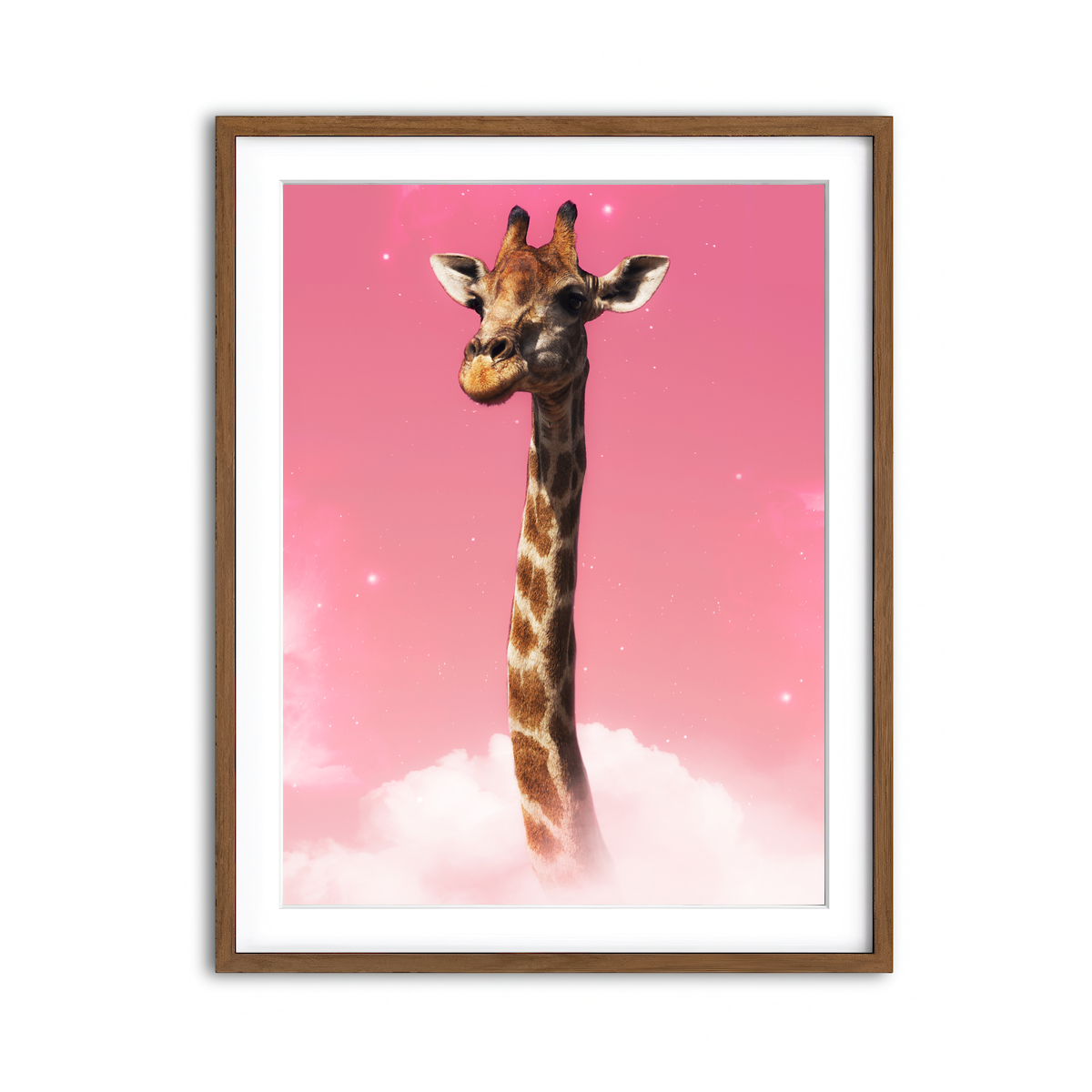 Framed Print 3x4 Walnut