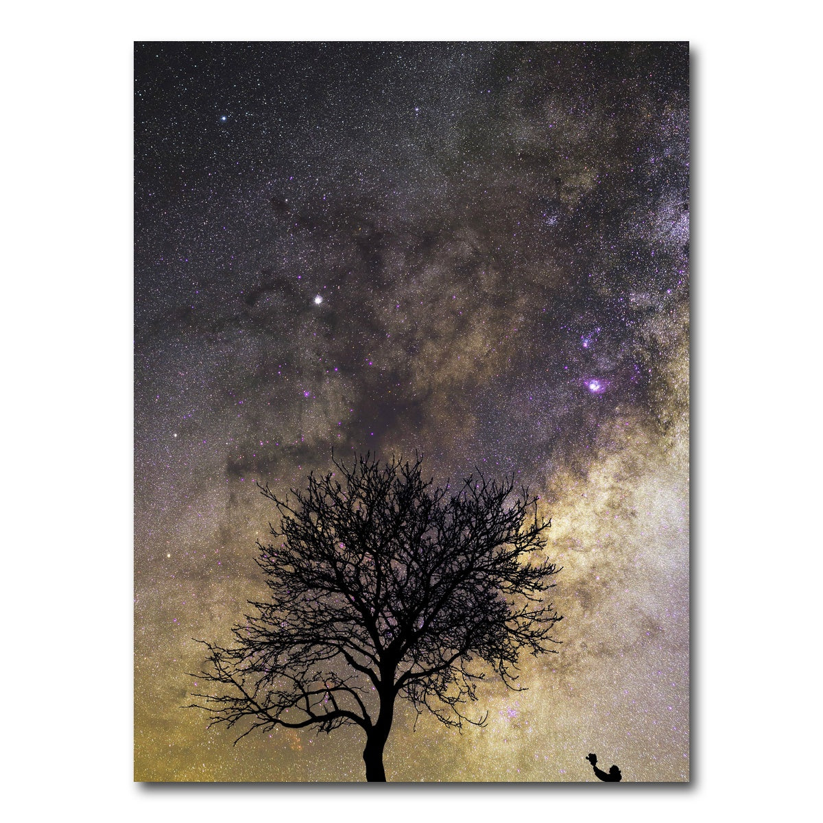 AUTO-MOCKUP WHITE | Give Life | 1 Piece | Gallery Wrap Canvas | group=3x4