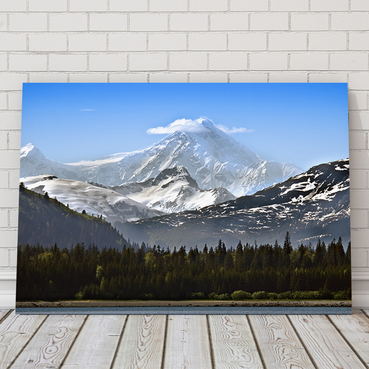 Glacier Bay National Park Alaska Wall Art