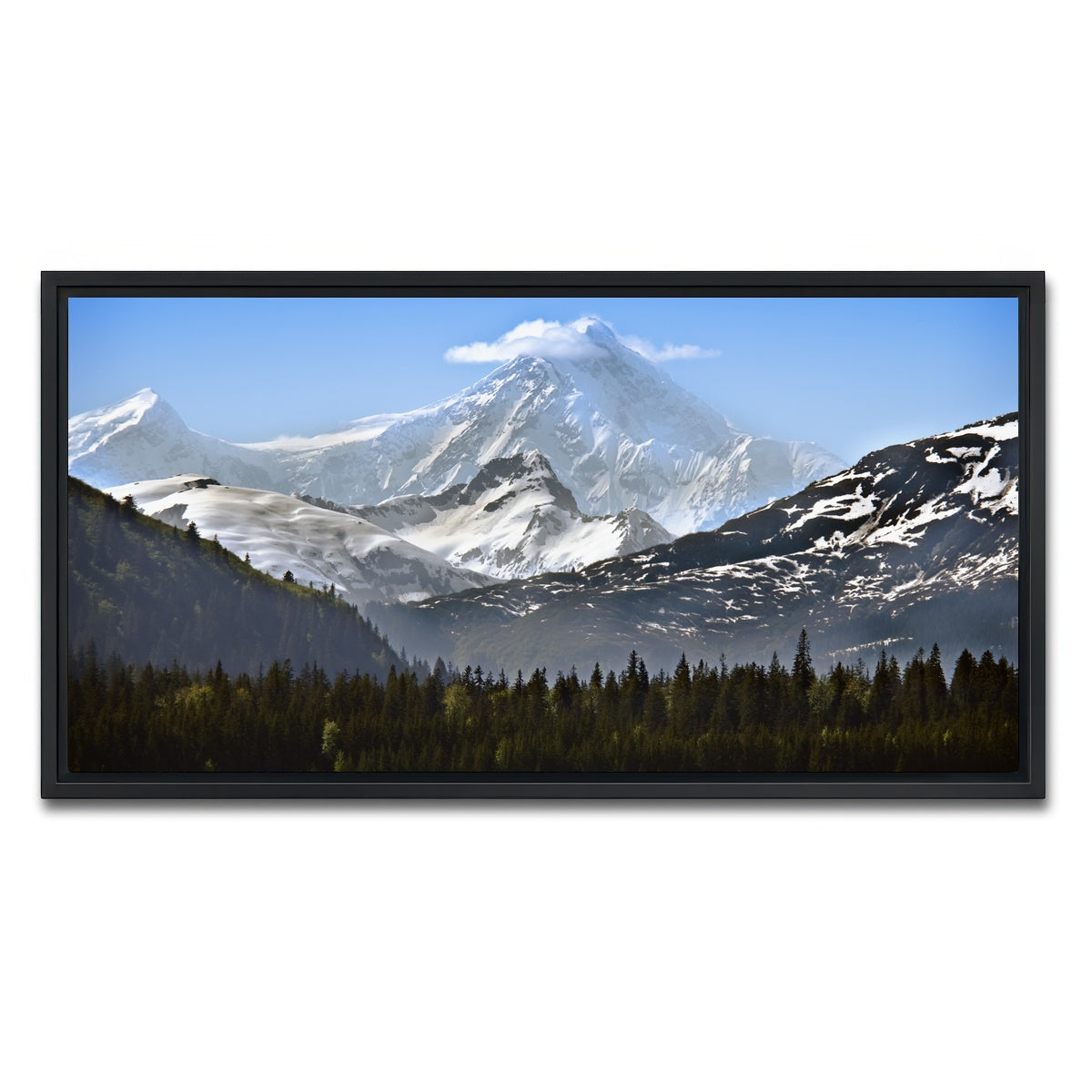 AUTO-MOCKUP WHITE | Glacier Bay National Park Alaska | 1 Piece | Black Framed Canvas | group=2x1