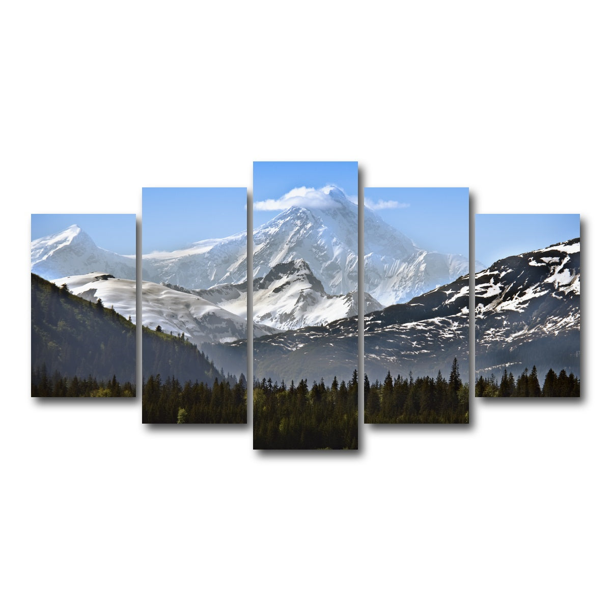 AUTO-MOCKUP WHITE | Glacier Bay National Park Alaska | 5 Piece | Gallery Wrap Canvas | group=5_normal