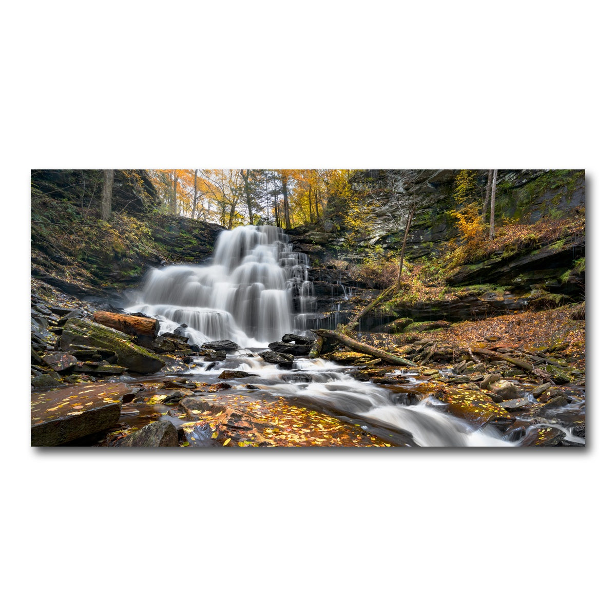 AUTO-MOCKUP WHITE | Glass Half Full | 1 Piece | Gallery Wrap Canvas | group=2x1