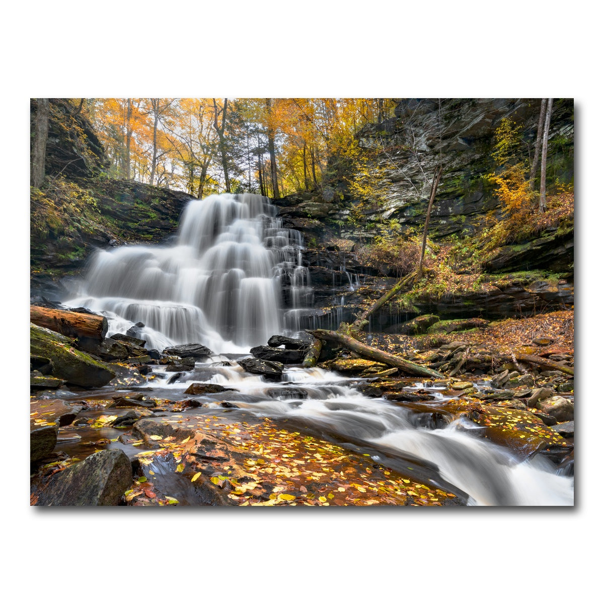 AUTO-MOCKUP WHITE | Glass Half Full | 1 Piece | Gallery Wrap Canvas | group=4x3