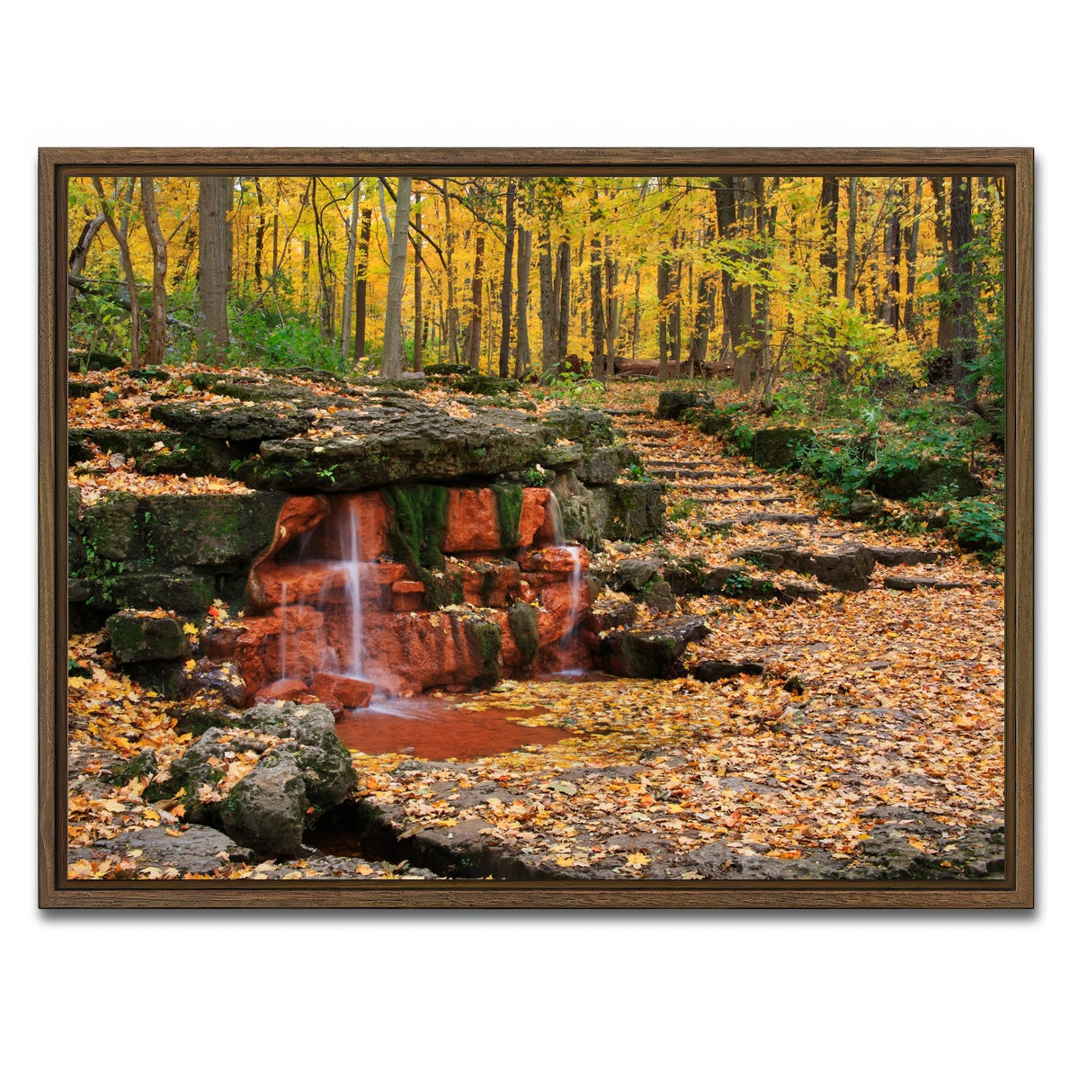 AUTO-MOCKUP WHITE | Glen Helen Nature Preserve | 1 Piece | Walnut Framed Canvas | group=4x3