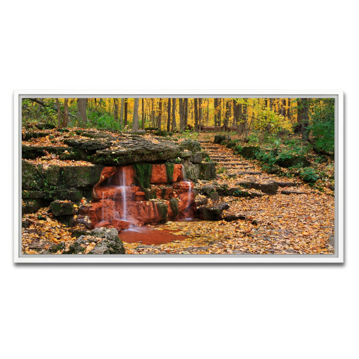 AUTO-MOCKUP WHITE | Glen Helen Nature Preserve | 1 Piece | White Framed Canvas | group=2x1