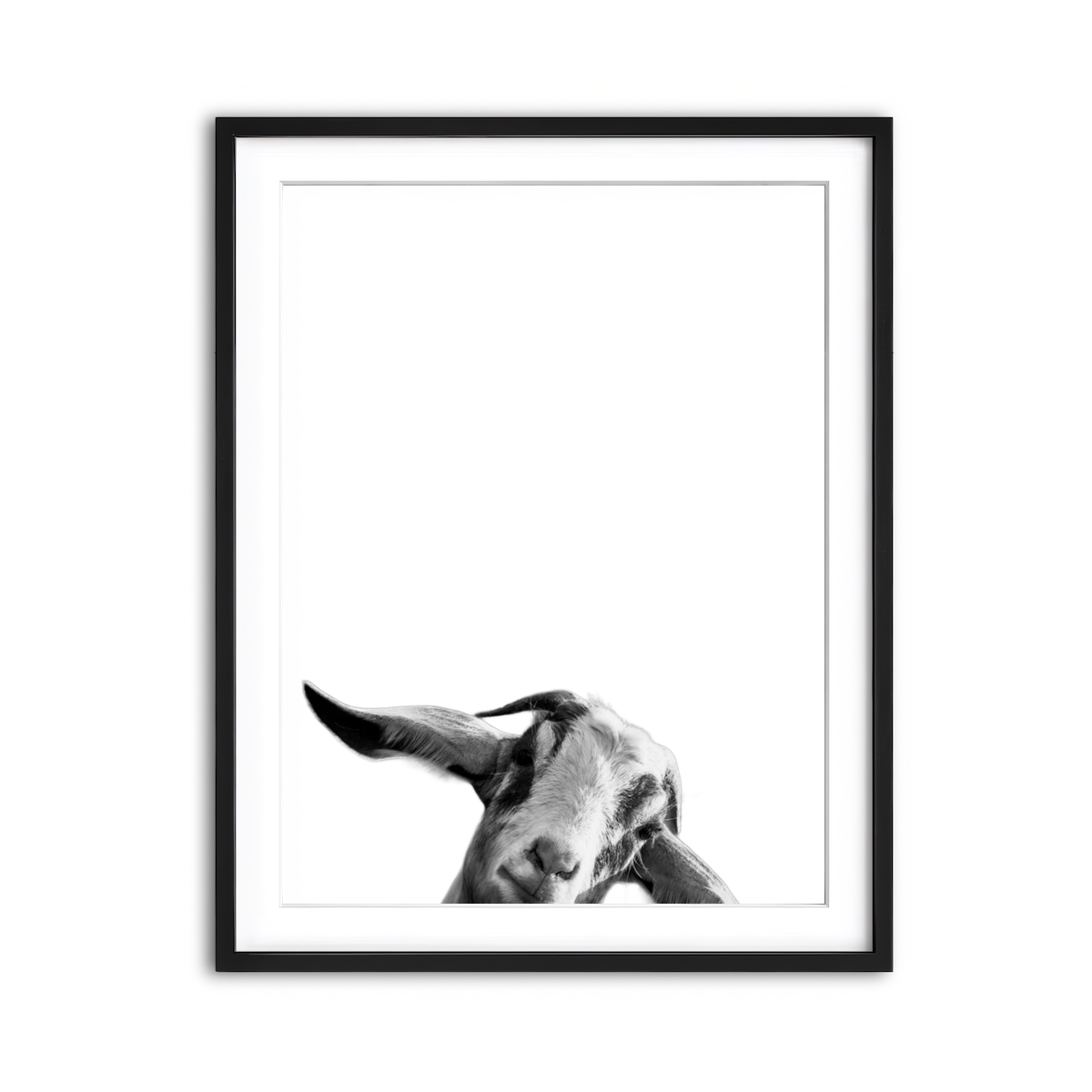 Framed Print 3x4 Black