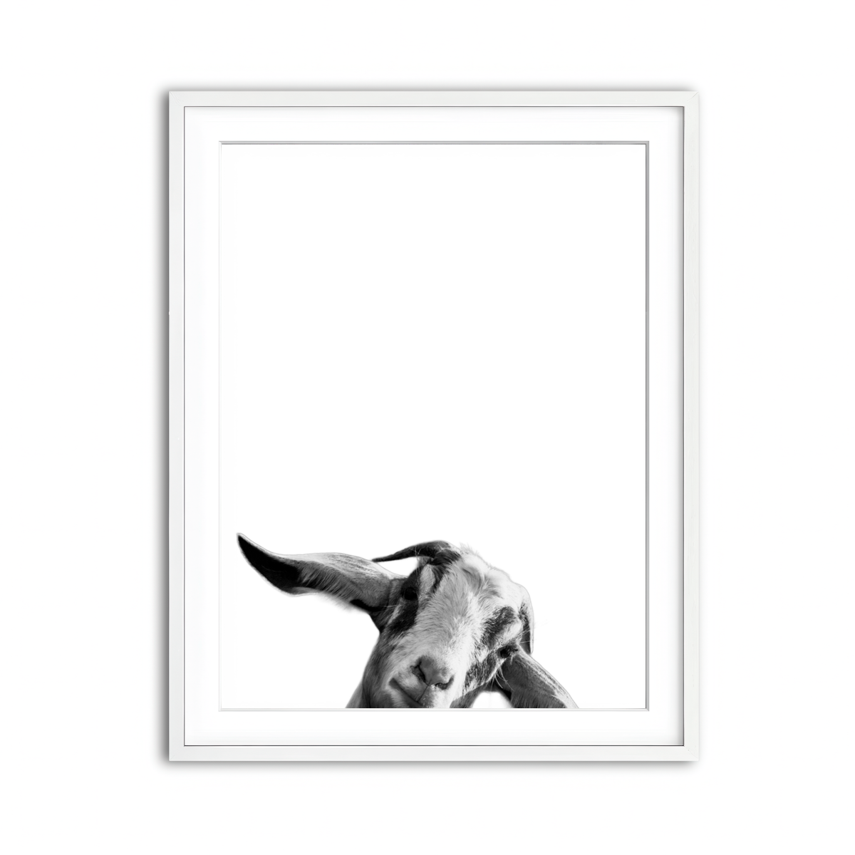 Framed Print 3x4 White