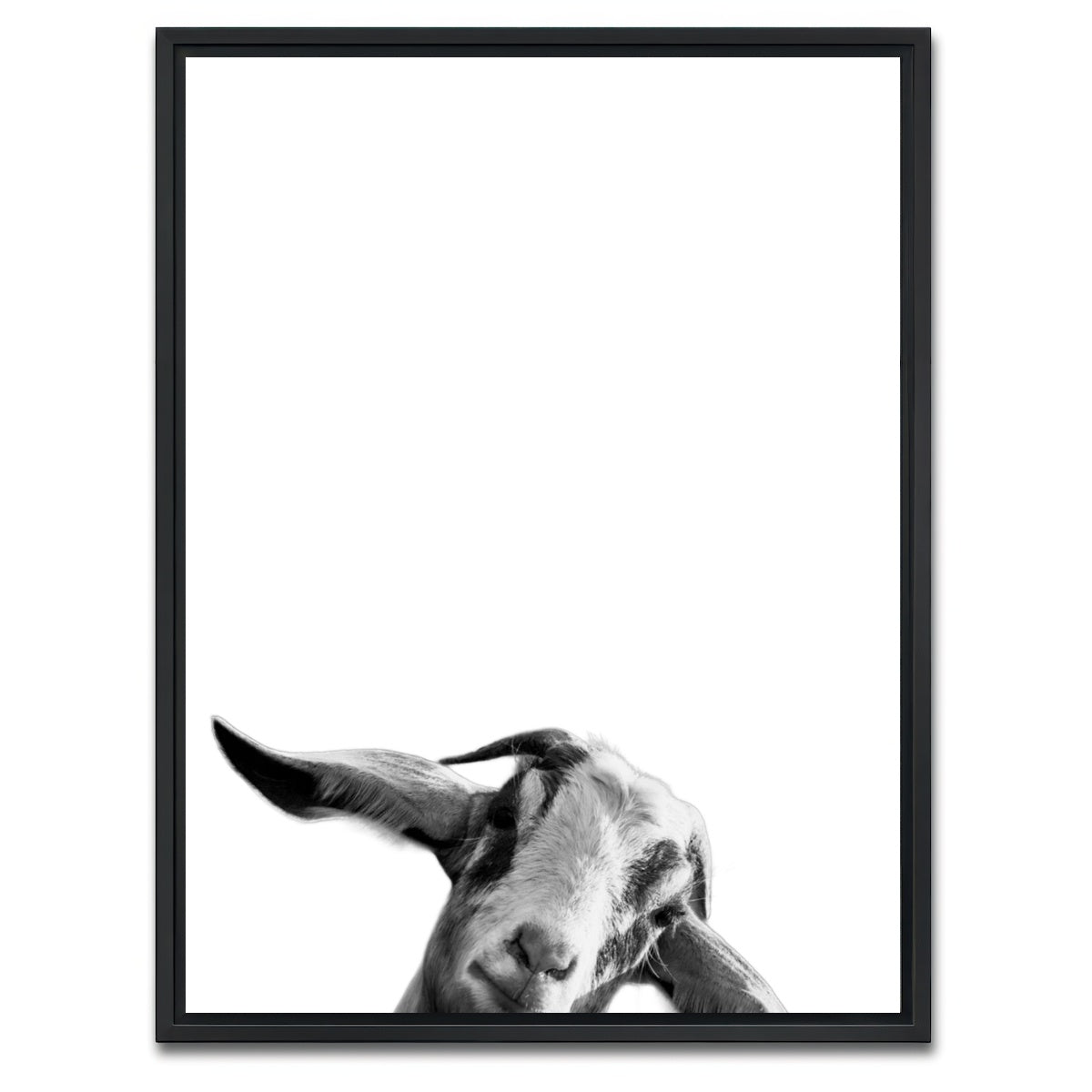 AUTO-MOCKUP WHITE | Goat | 1 Piece | Black Framed Canvas | group=3x4