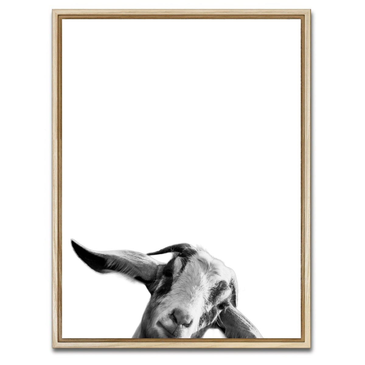 AUTO-MOCKUP WHITE | Goat | 1 Piece | Natural Framed Canvas | group=3x4