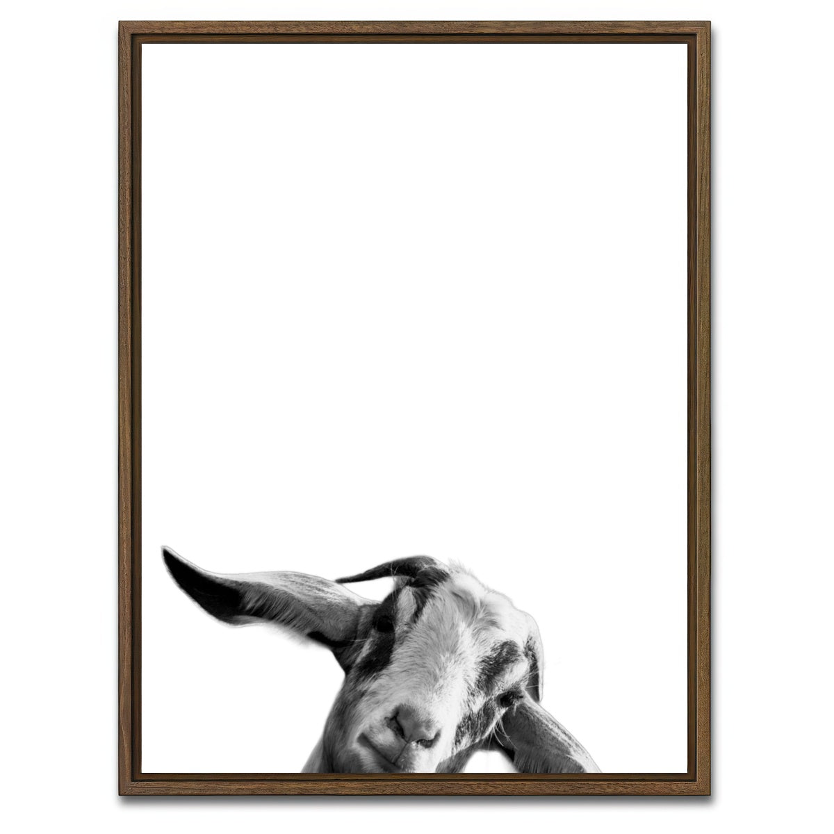AUTO-MOCKUP WHITE | Goat | 1 Piece | Walnut Framed Canvas | group=3x4