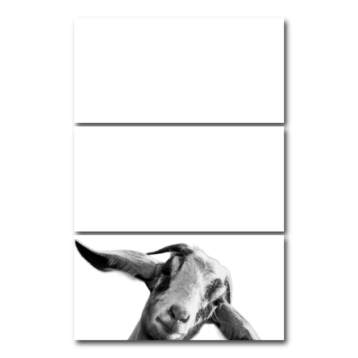 AUTO-MOCKUP WHITE | Goat | 3 Piece | Gallery Wrap Canvas | group=12x24_stacked