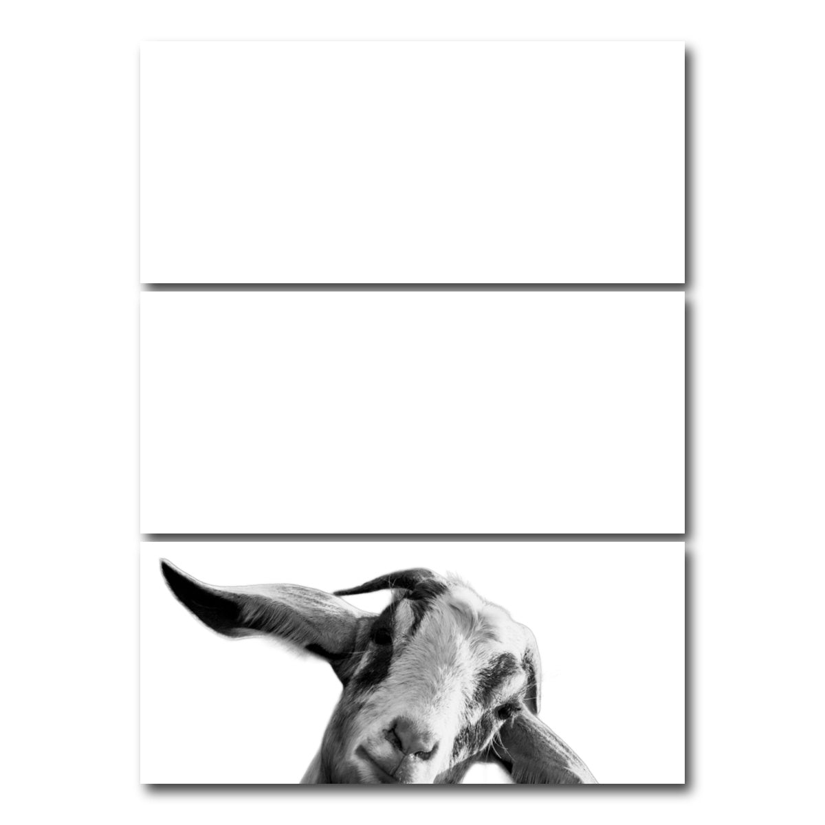 AUTO-MOCKUP WHITE | Goat | 3 Piece | Gallery Wrap Canvas | group=8x18_stacked