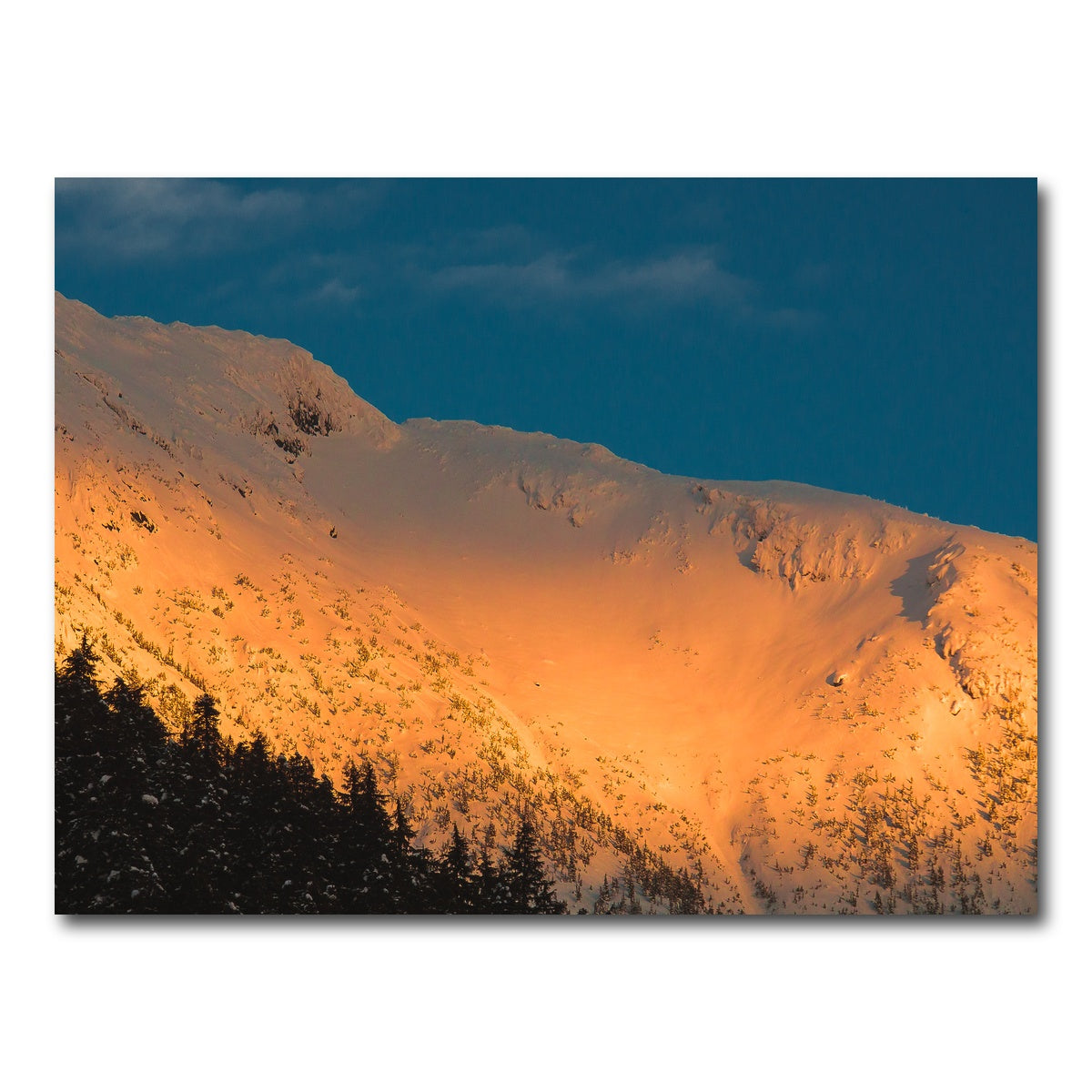 AUTO-MOCKUP WHITE | Gold Crest | 1 Piece | Gallery Wrap Canvas | group=4x3