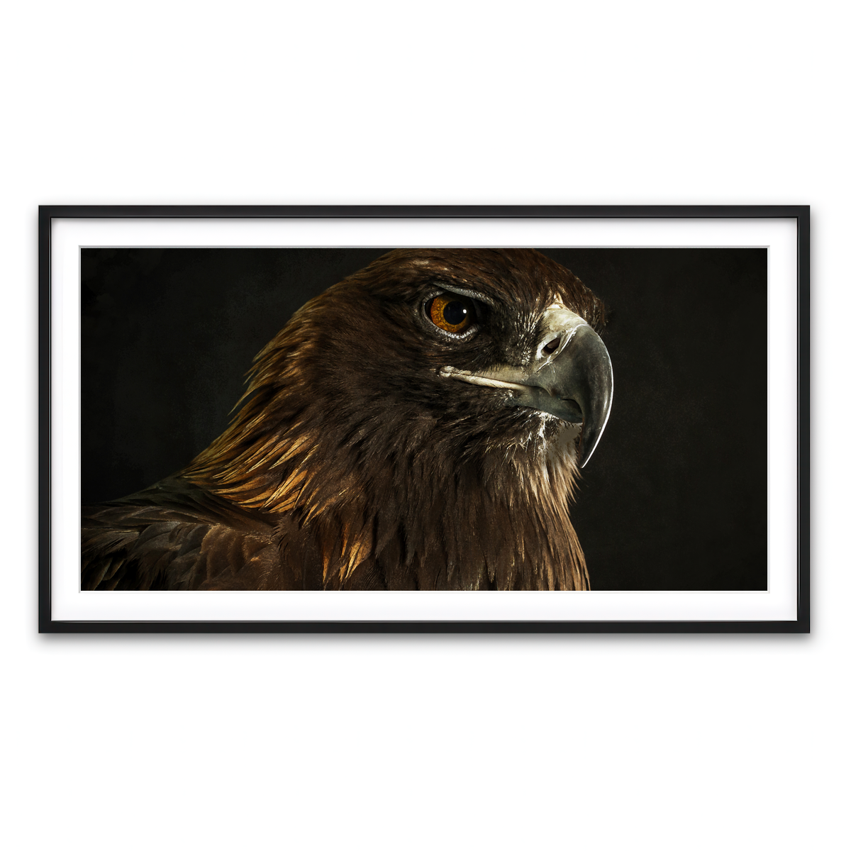 Framed Print 2x1 Black