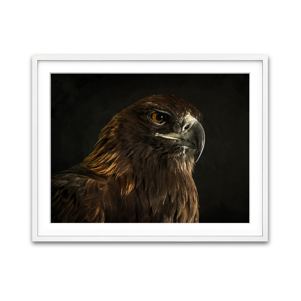 Framed Print 4x3 White