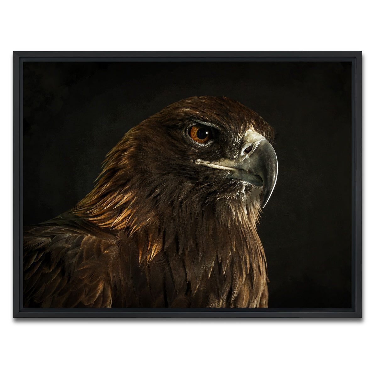 AUTO-MOCKUP WHITE | Golden Eagle | 1 Piece | Black Framed Canvas | group=4x3
